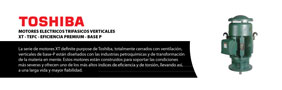 Motores Verticales Toshiba