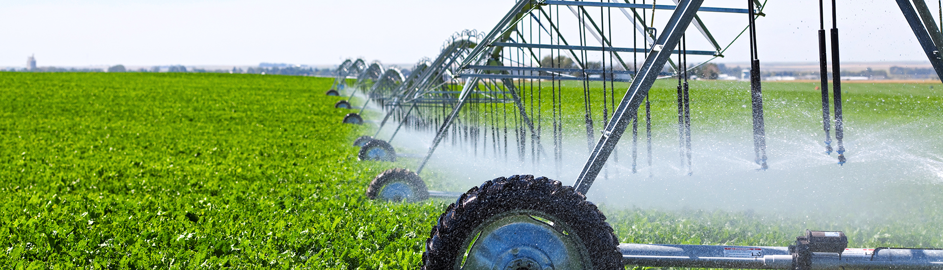 INDUSTRIA AGRÍCOLA