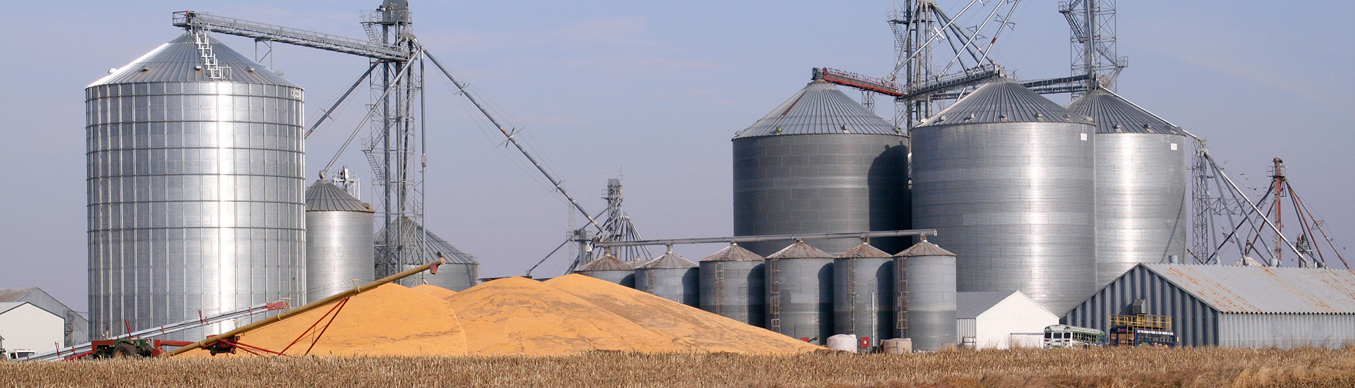 Industria Alimenticia