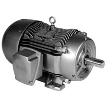 Motores Trifasicos Cerrados Siemens JM10 RGZE