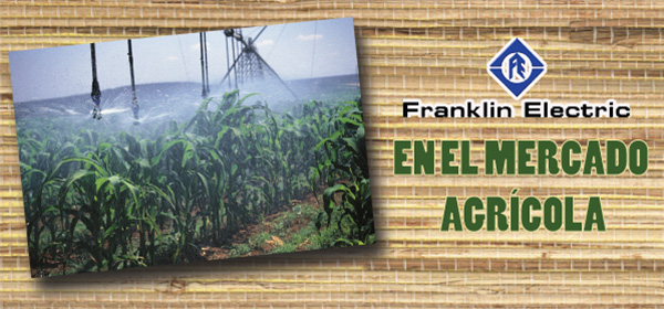 Motores Franklin Electric